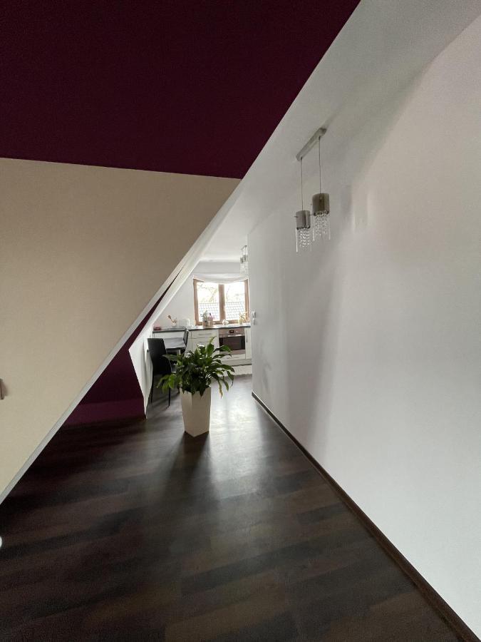 Apartament Podczerwone Czarny Dunajec Buitenkant foto