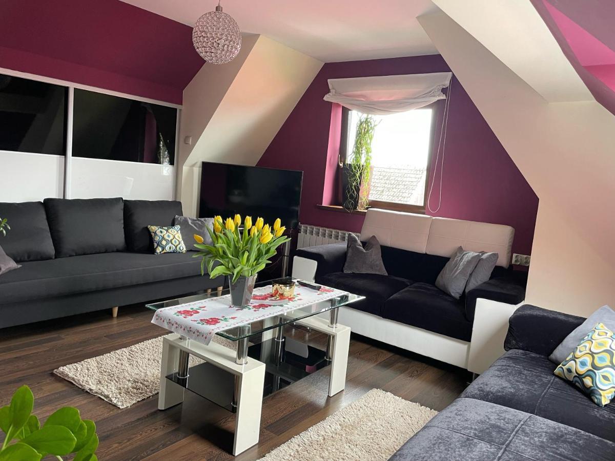 Apartament Podczerwone Czarny Dunajec Buitenkant foto